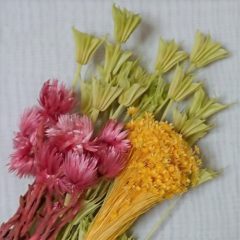 ドライフラワーの寿命