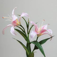 送別や退職時にお花をプレゼントしよう