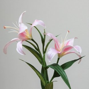 送別や退職時にお花をプレゼントしよう