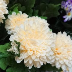 花粉アレルギーと上手に付き合いながらお花を楽しむ