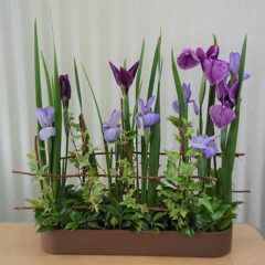 5月 お花を贈ったり、飾ったりしましょう