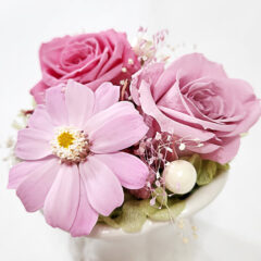 その不調、○○が関係しているかも？