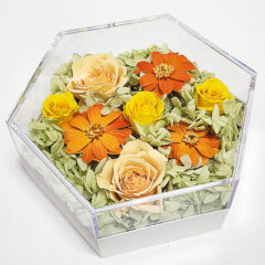 大事な家族（猫ちゃん）も安心！奥様への誕生日ギフト