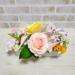 お祝いごとに胡蝶蘭を贈る意味とは