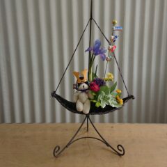 5月5日は端午の節句