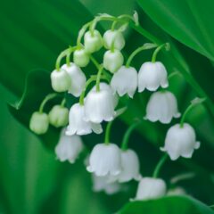 ゴールデンウィーク真っただ中