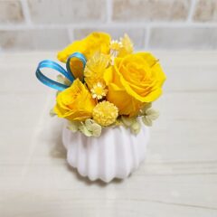 父の日の花ってなに？