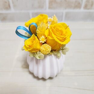 父の日の花ってなに？