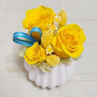 母の日はカーネーションだけど父の日は何の花？
