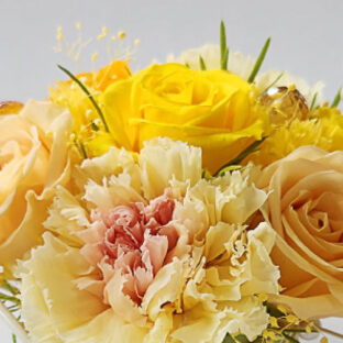 【モニター限定募集】10日間の心のリセット体験