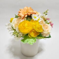 空気をきれいにしてくれるお花